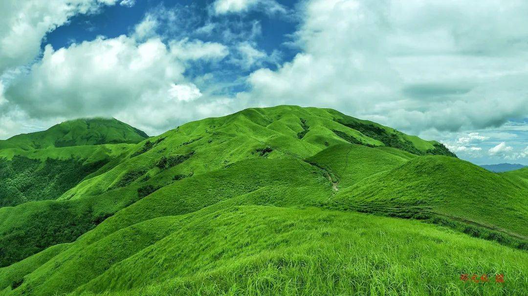 Lisa Villarreal tweet media