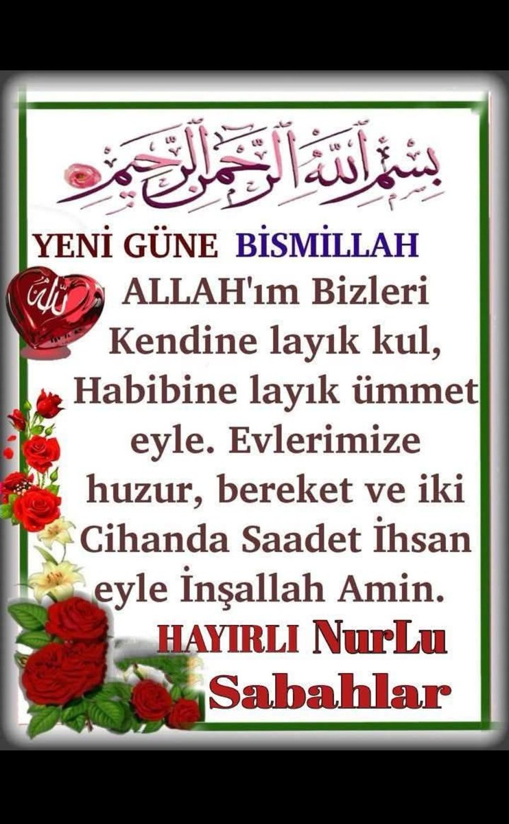 🇹🇷mustafa Şeker tweet media