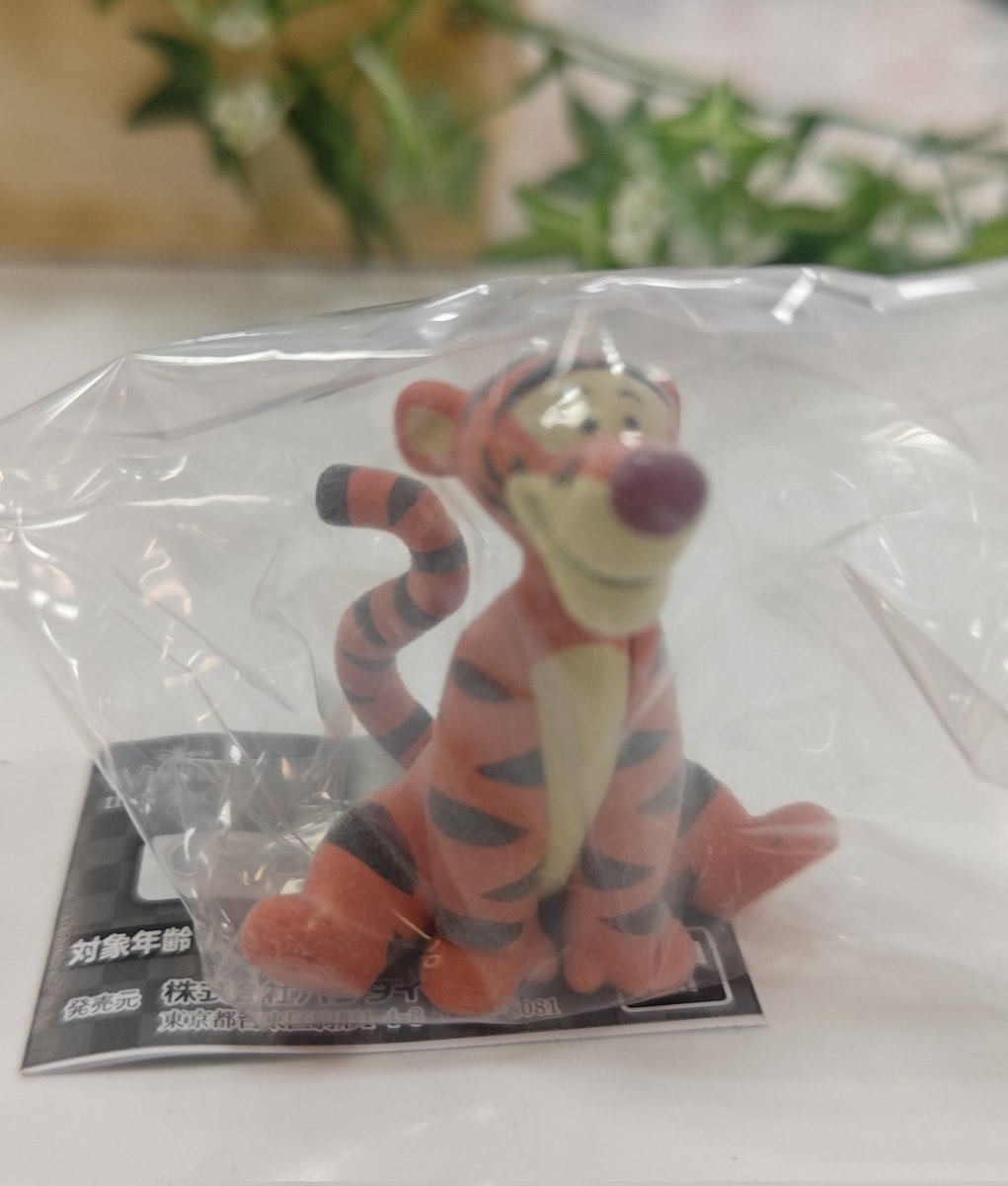 さくら🍀 tweet media