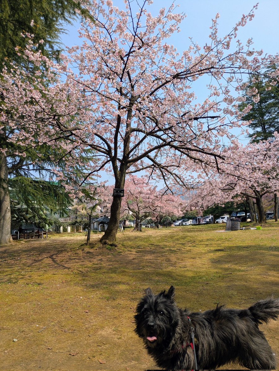 まるのん🐾 tweet media