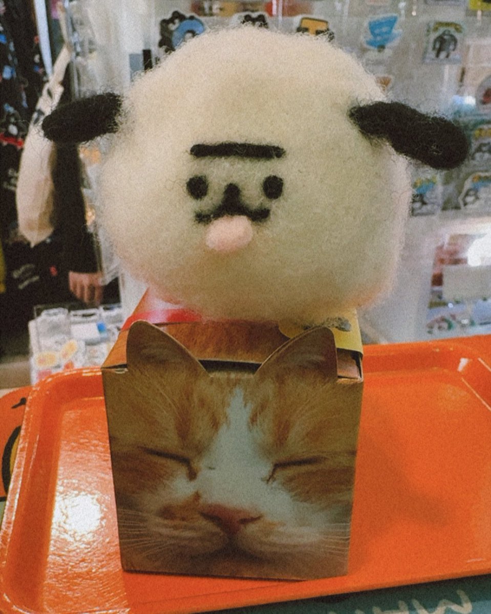 EVERYDAY SUNDAY(エブサン・くまのまーくん) tweet media