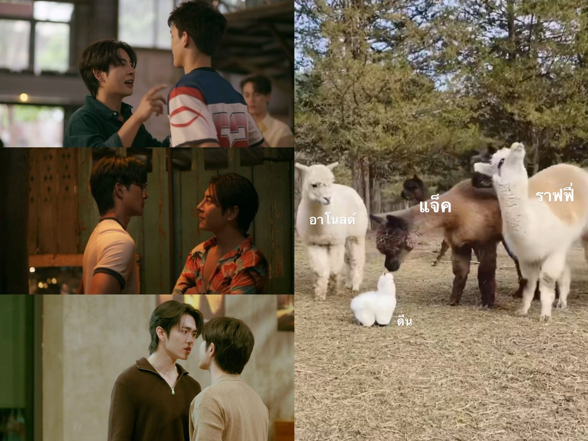 🍋 𝗟𝗘𝗠𝗢𝗡 ⸝⸝ เลม่อนมิกซ์จิ๋ว tweet media