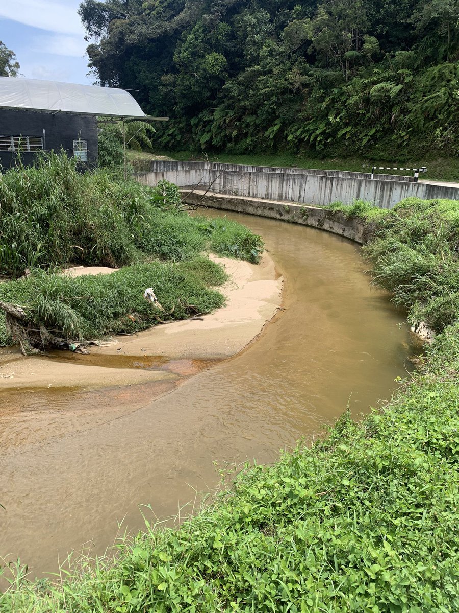 Puchi ʚïɞ tweet media