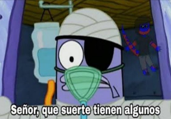 maxi 308 tweet media