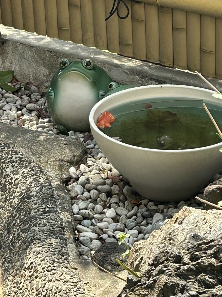 岩ひろし tweet media