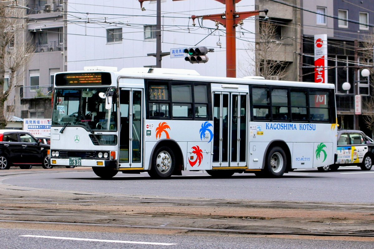 🌴白霧島 tweet media