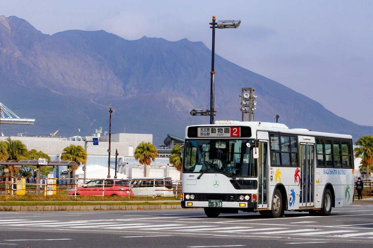 🌴白霧島 tweet media