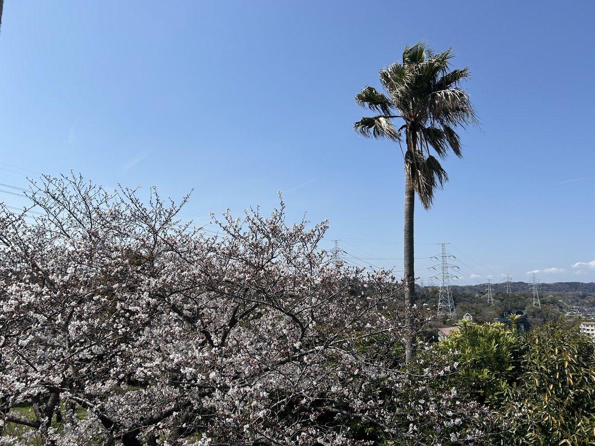 あるがままのミック ⚠️🚫NO DM⚠️ tweet media