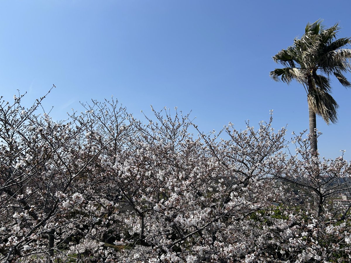 あるがままのミック ⚠️🚫NO DM⚠️ tweet media