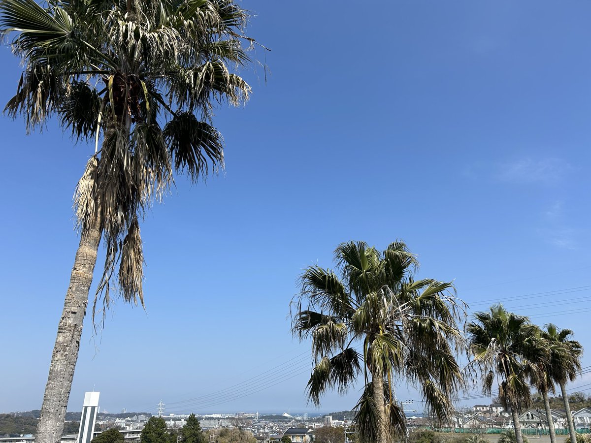 あるがままのミック ⚠️🚫NO DM⚠️ tweet media