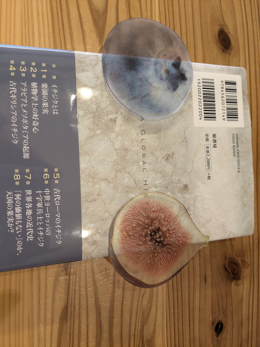 Zone6figger tweet media