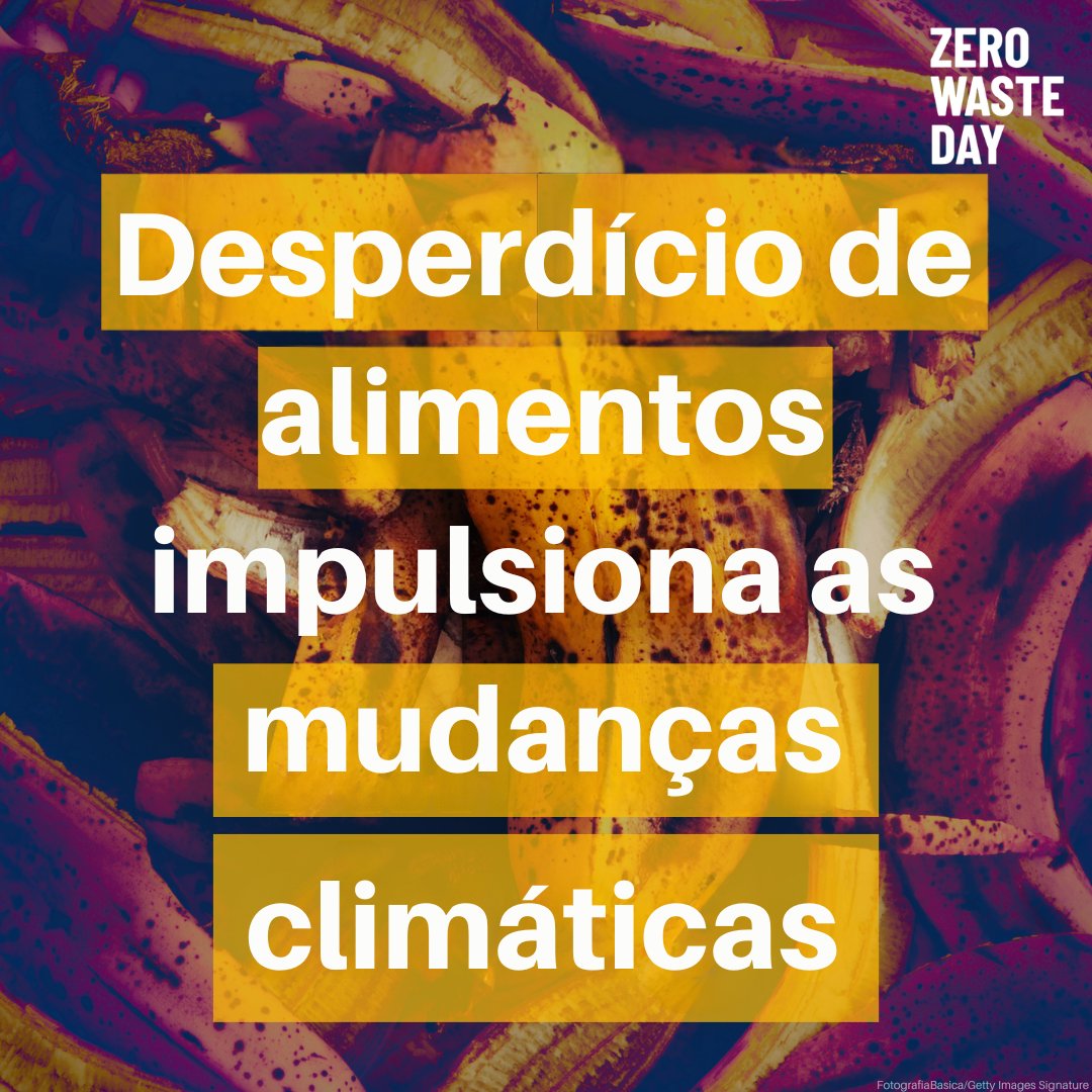 Programa da ONU para o Meio Ambiente tweet media