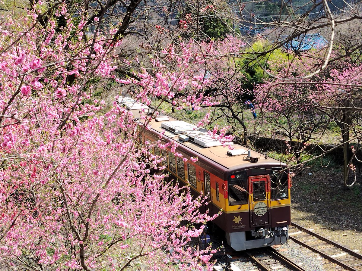 みなみ tweet media