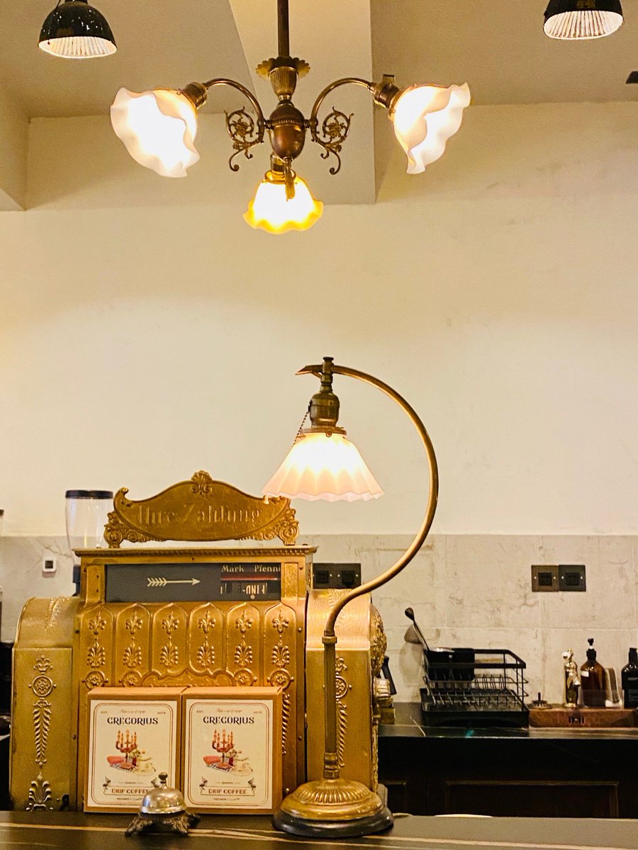 Hailey Jones 🐾 tweet media