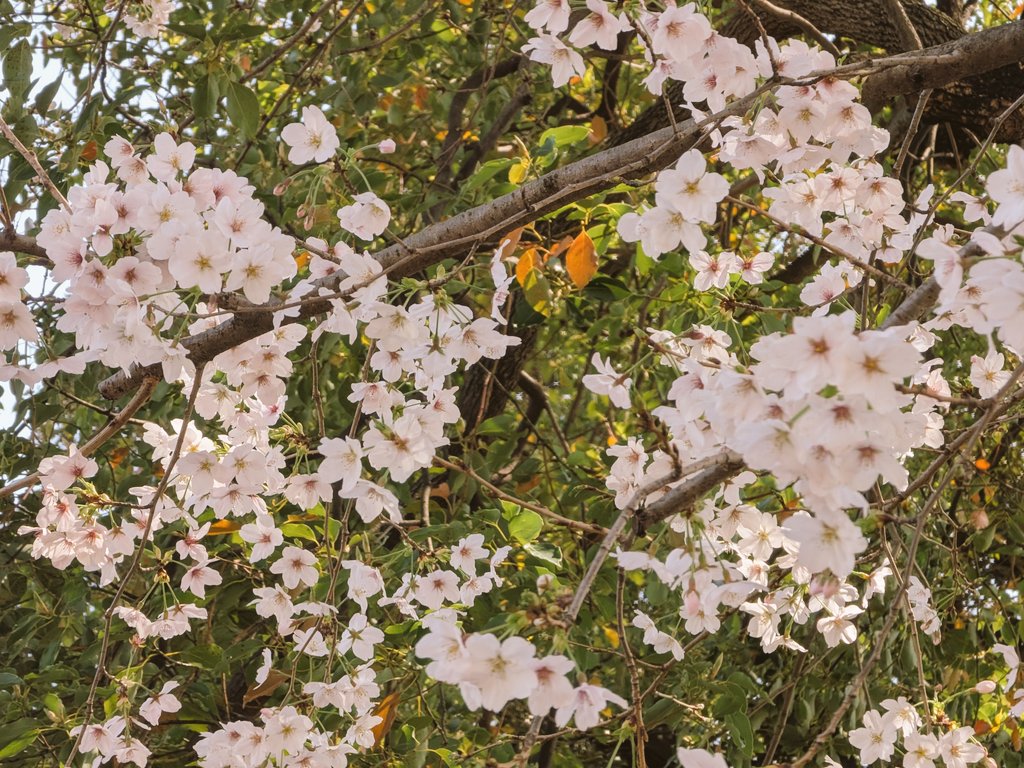 こいん ♥️♥♥🖤 🟢🟢⚫️ tweet media