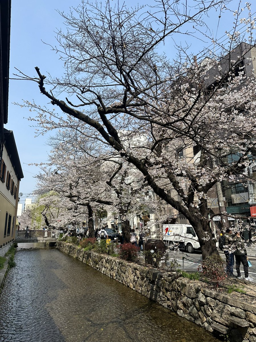 ホリーニョ tweet media