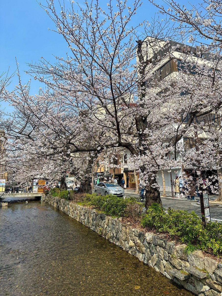 ホリーニョ tweet media