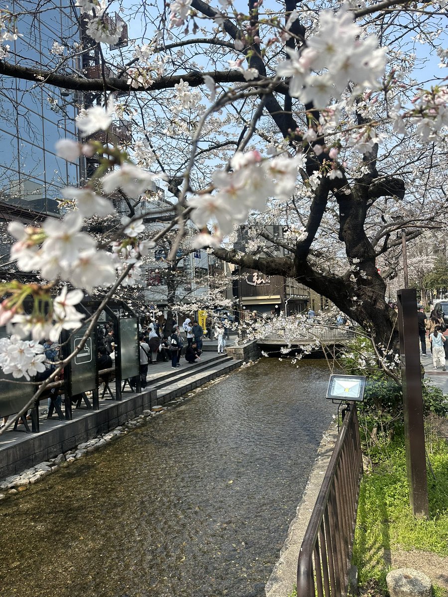 ホリーニョ tweet media