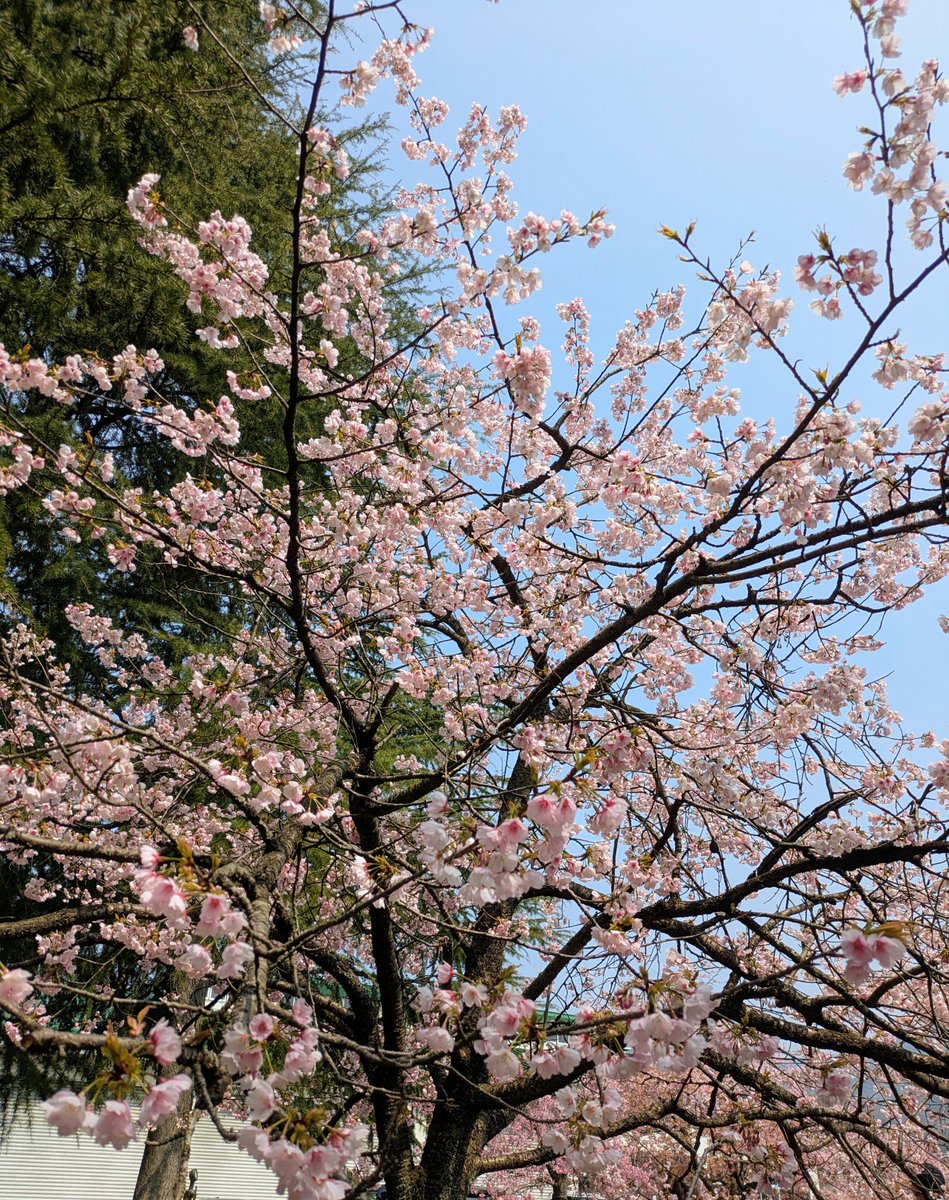 まるのん🐾 tweet media