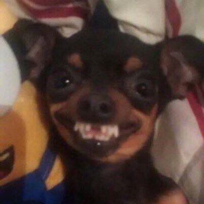 Retired Elder Rex M.E Midzi tweet media