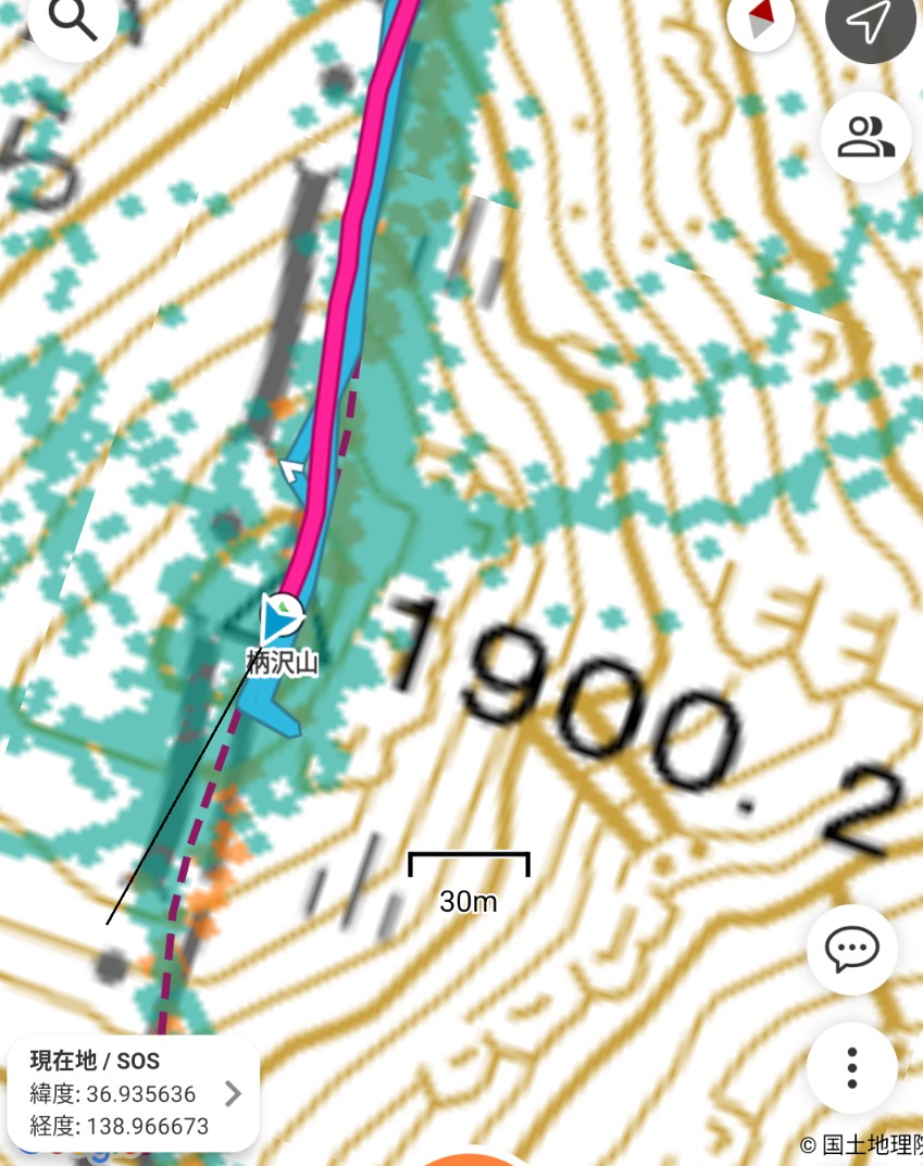 ばたこ tweet media