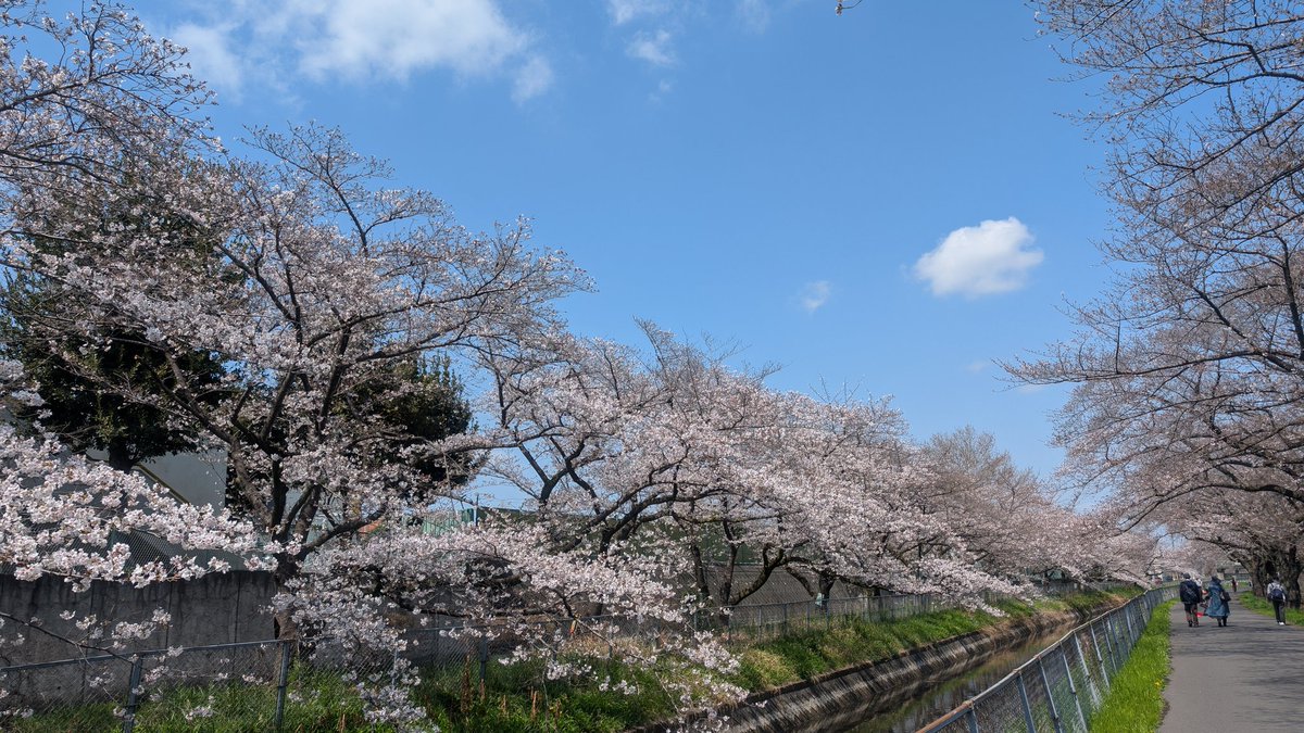 さいたま新都心TODAY tweet media