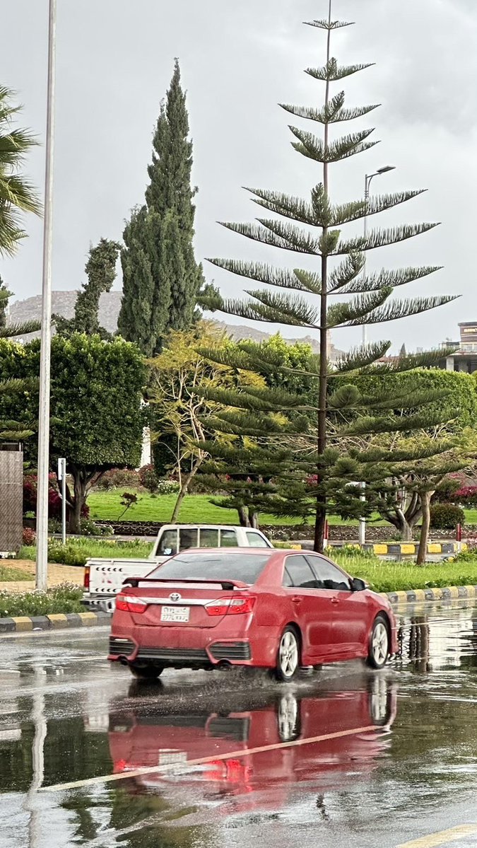 جاسم الغامدي|📸 tweet media