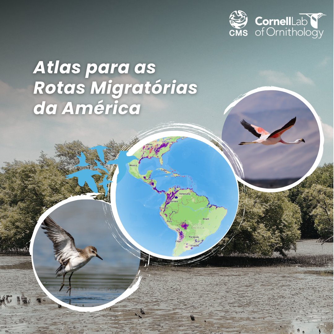 Programa da ONU para o Meio Ambiente tweet media