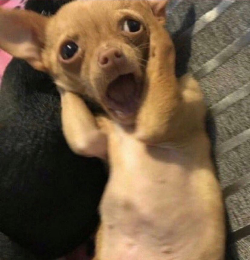 إمحمد tweet media