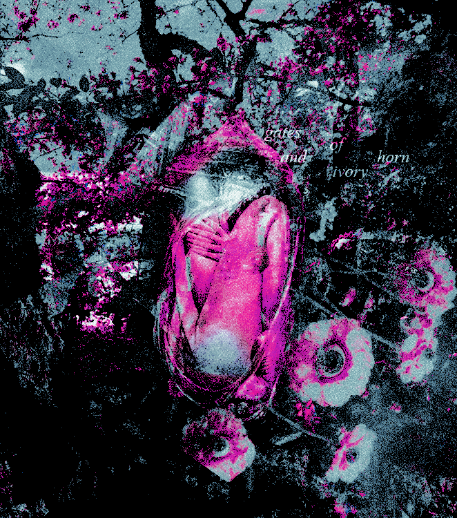 ‍ ‍ ‍ ‍𝓈𝚑𝚎 ‎ ‍‍ ‍‍ ‎‎ ‍‎‎ *𝔴𝑎ʳᵖ，‍ ‍ ‍ ‍ tweet media