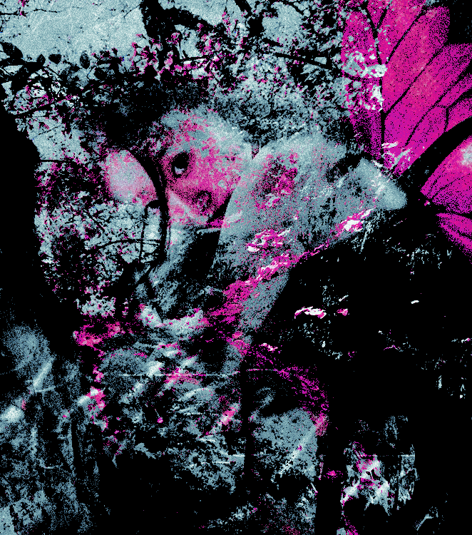 ‍ ‍ ‍ ‍𝓈𝚑𝚎 ‎ ‍‍ ‍‍ ‎‎ ‍‎‎ *𝔴𝑎ʳᵖ，‍ ‍ ‍ ‍ tweet media