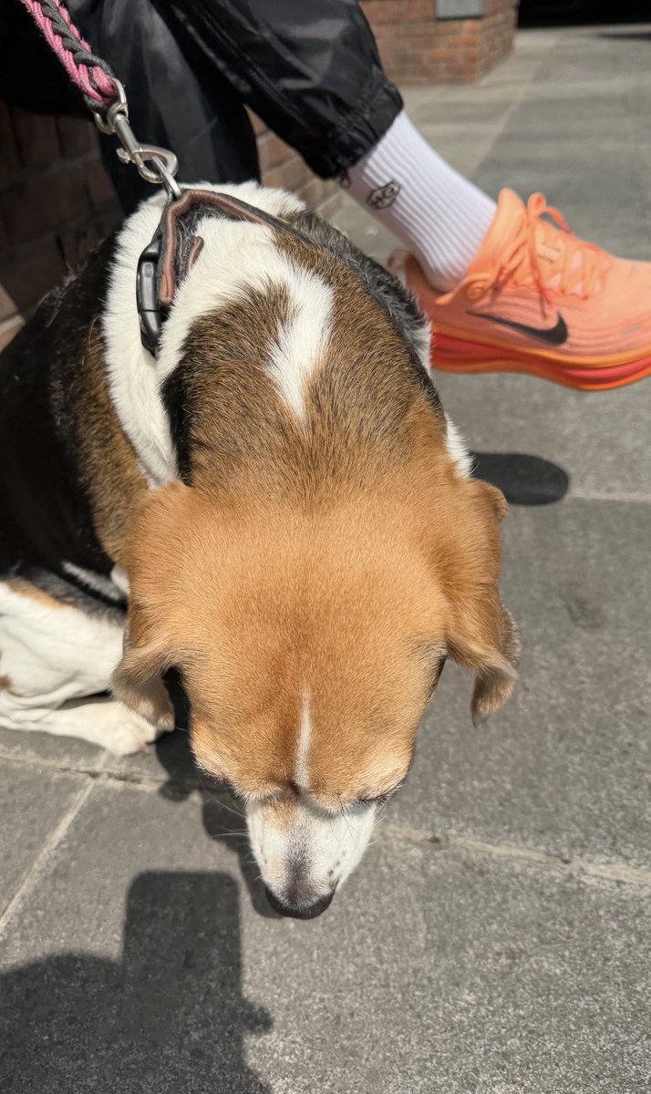 섭라이프🤘🏻 tweet media