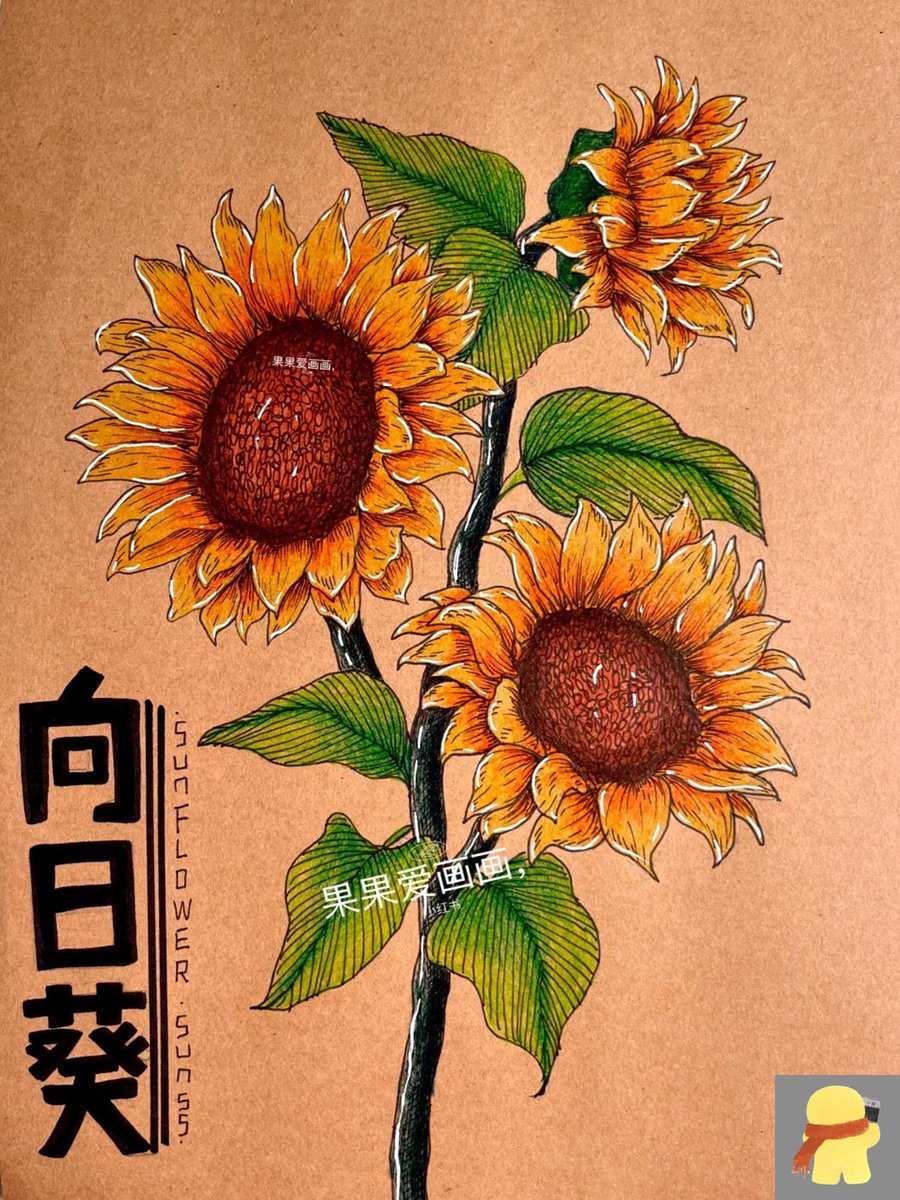 salas2010 tweet media