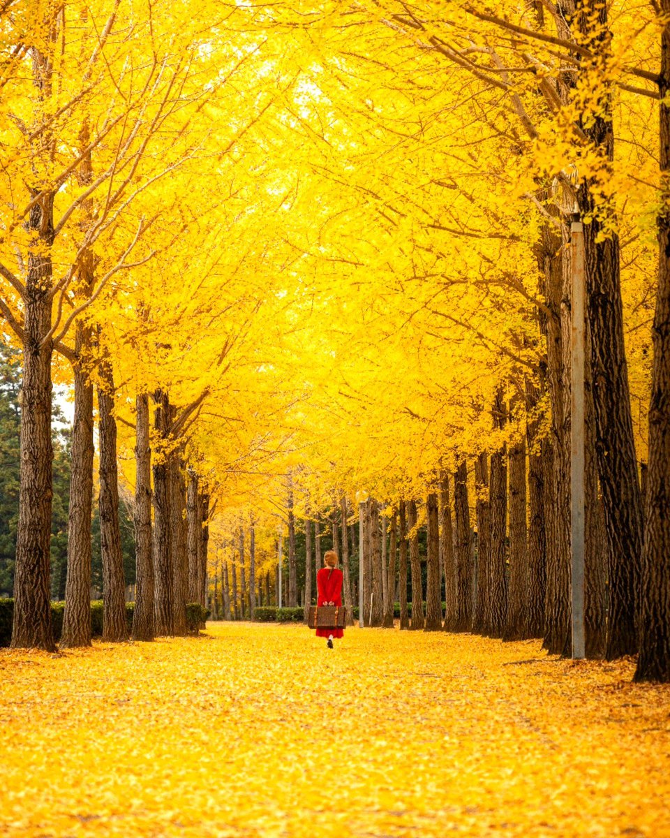 Swopnil Roy tweet media