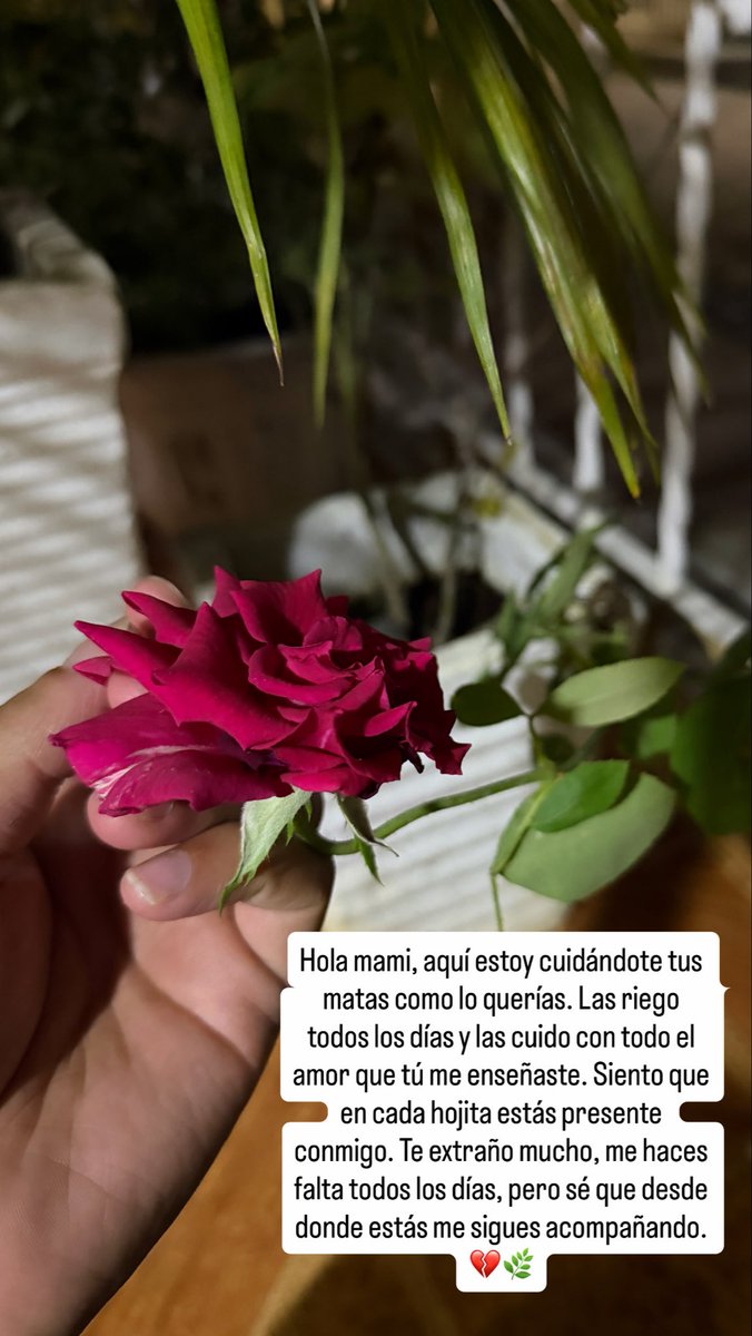 Te amo, mami eres mi amor eterno.
Cuídame siempre♥️❤️‍🩹