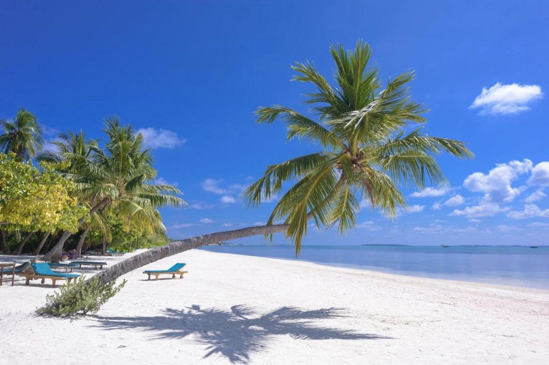 Rose8yd's tweet image. Hustle culture lied to you. Rest is productive. 😴✈️🌴
   Burnout doesn't come with a trophy.
   #WorkLifeBalance #BurnoutRecovery