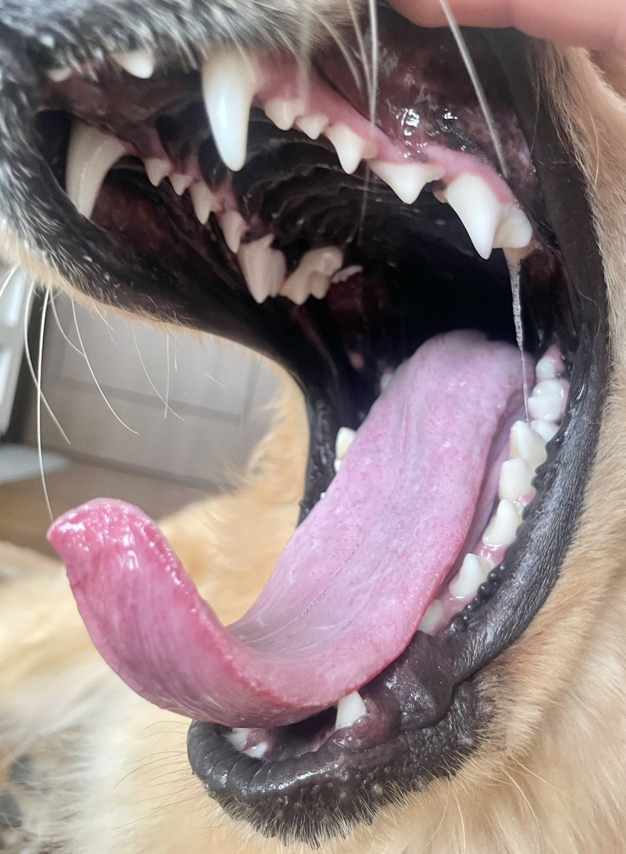 あまね tweet media