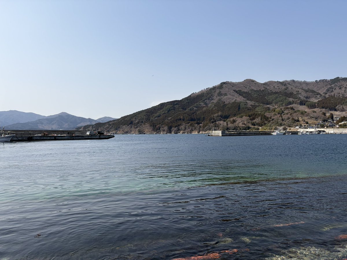 絵井部x tweet media