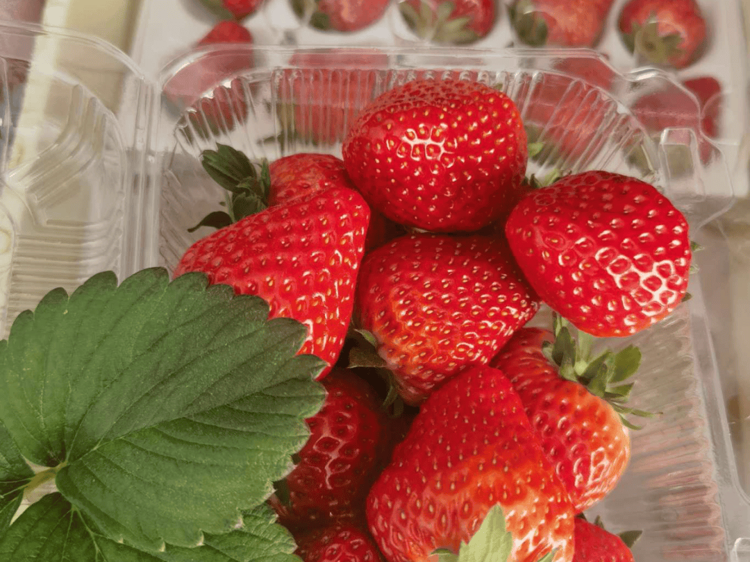 andrew holt tweet media