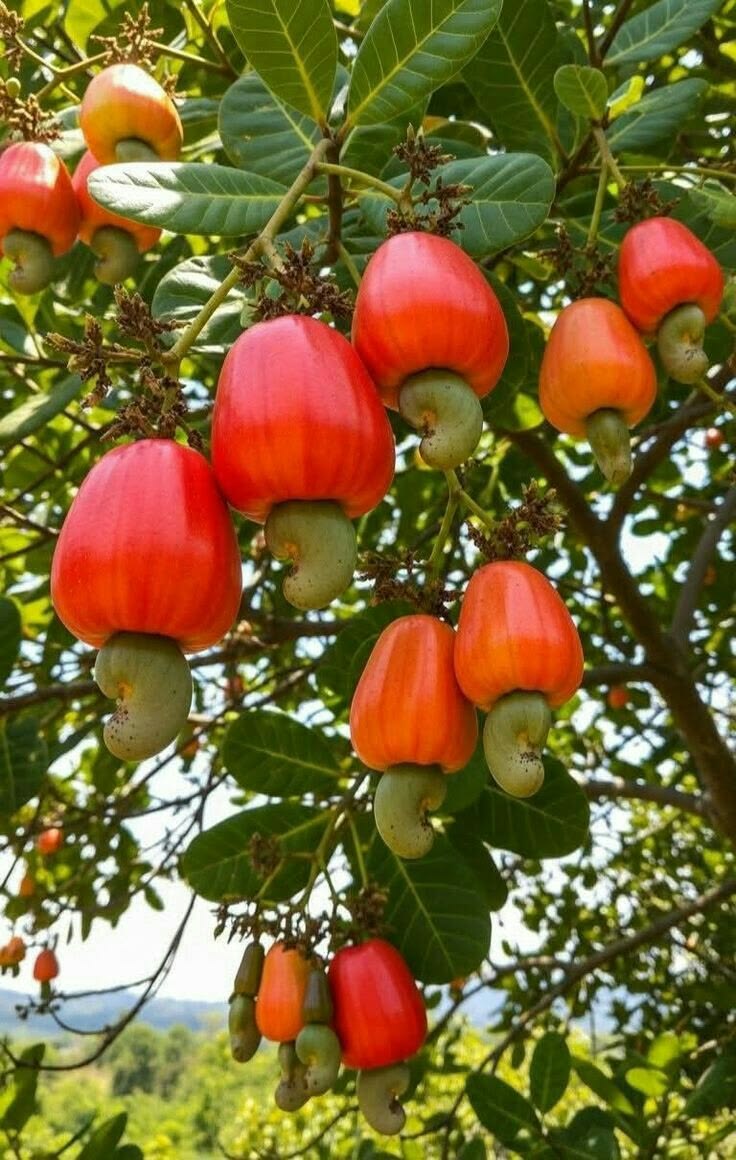 Eat Simple tweet media