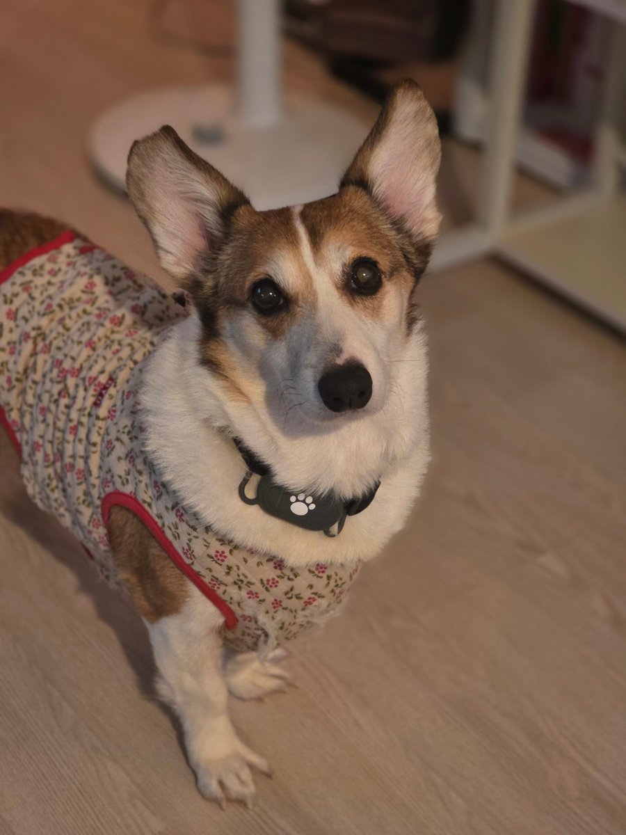 감자아빠 은호당恩熩堂 tweet media