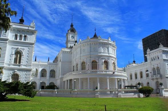 sofichutes hollander fan account tweet media