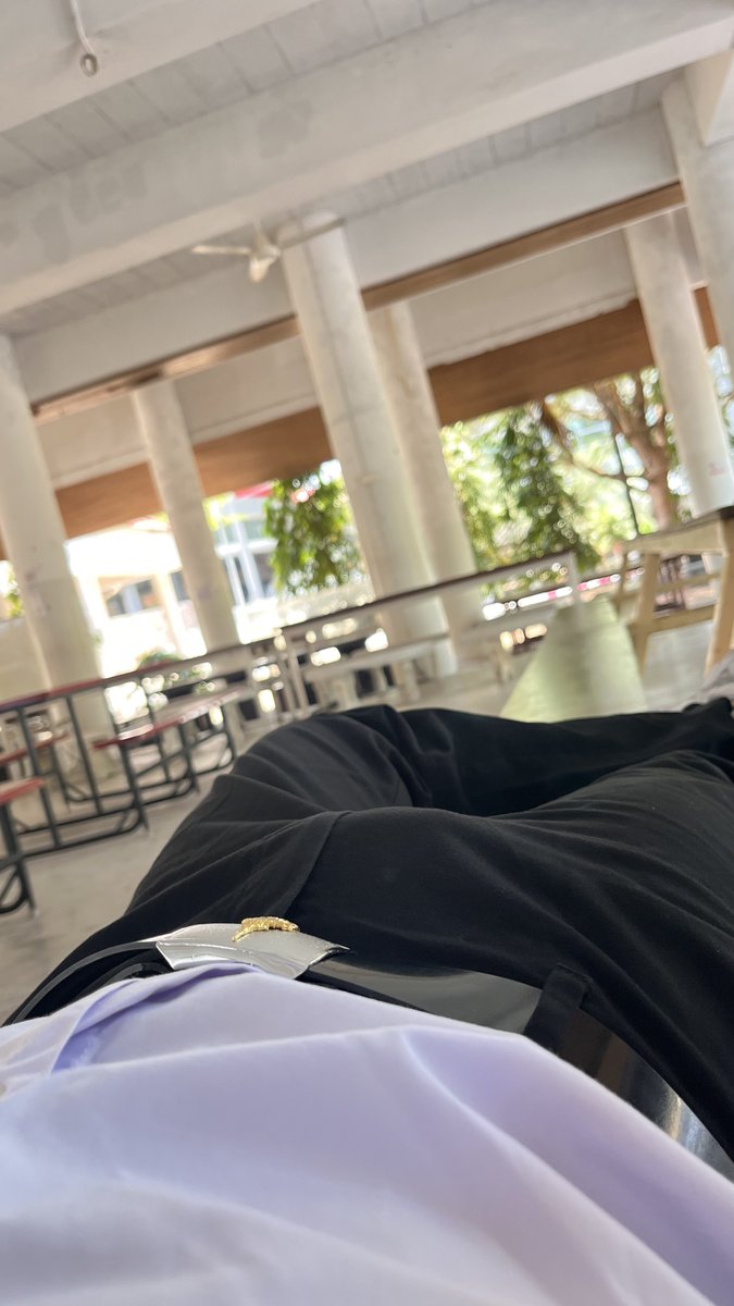 มีงูครับไม่มีรูให้ลง🕳️🐍 tweet media