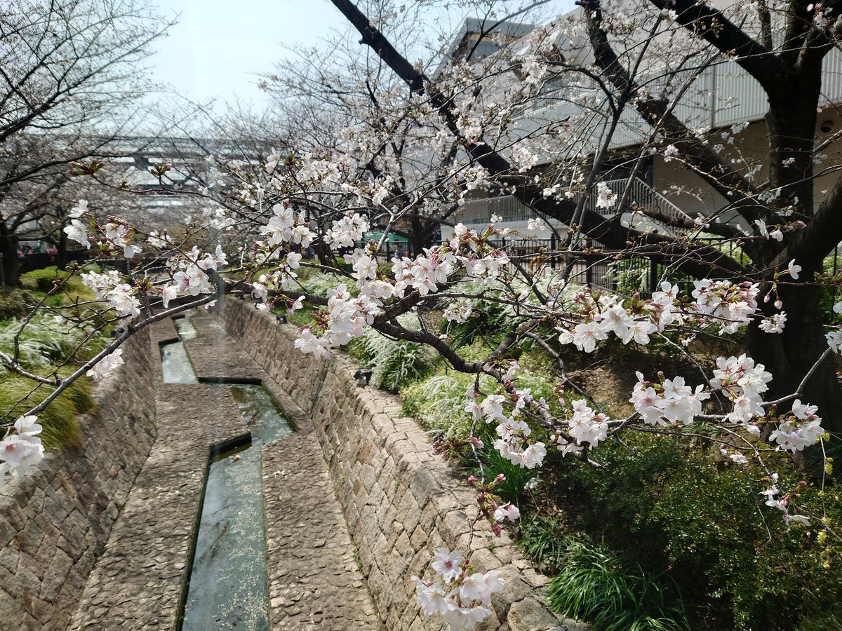 blackriden tweet media