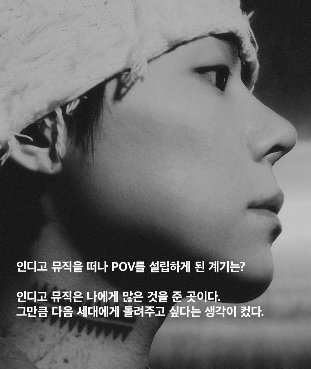 고양이 tweet media