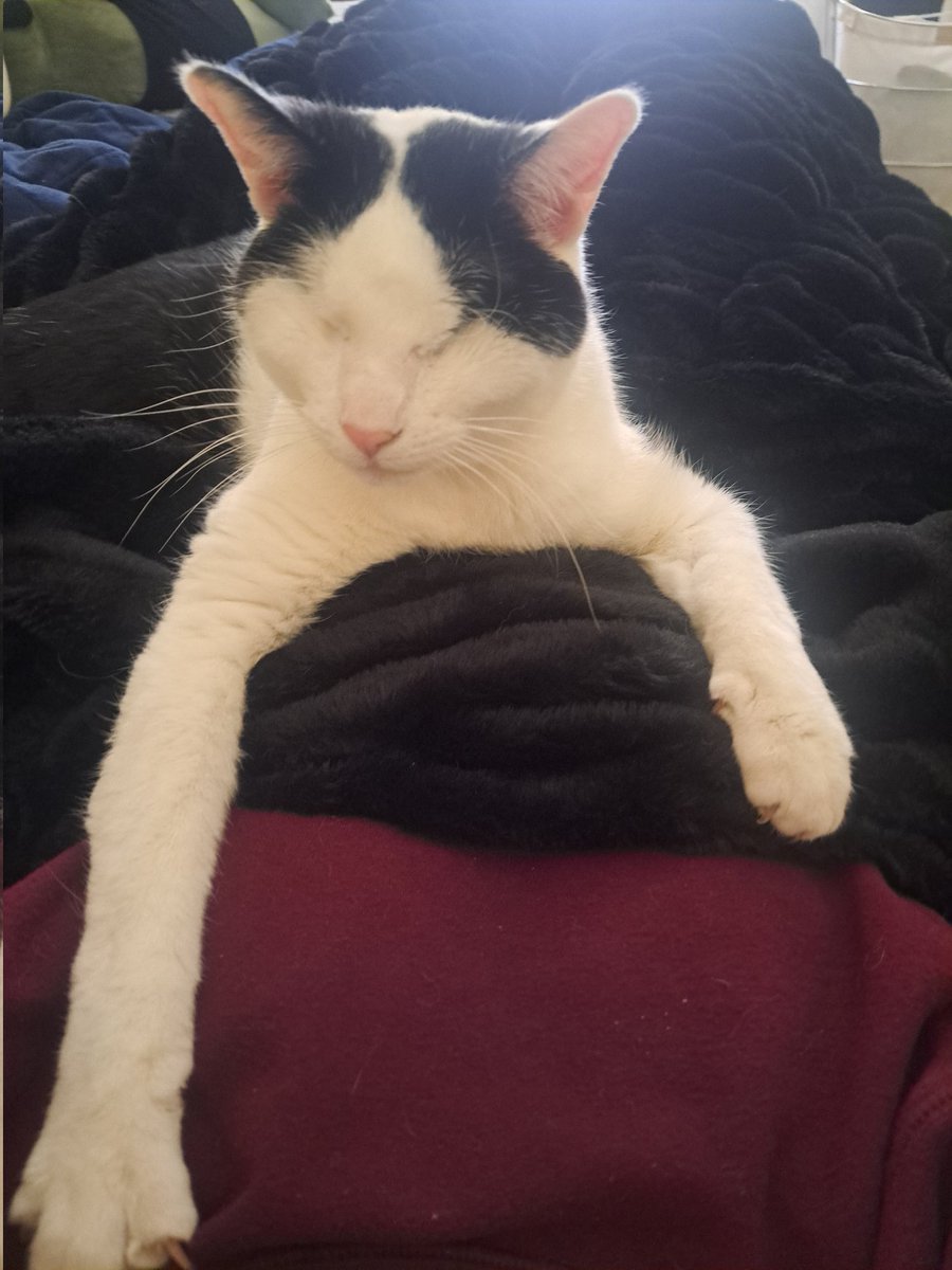 Mickey_116 tweet media