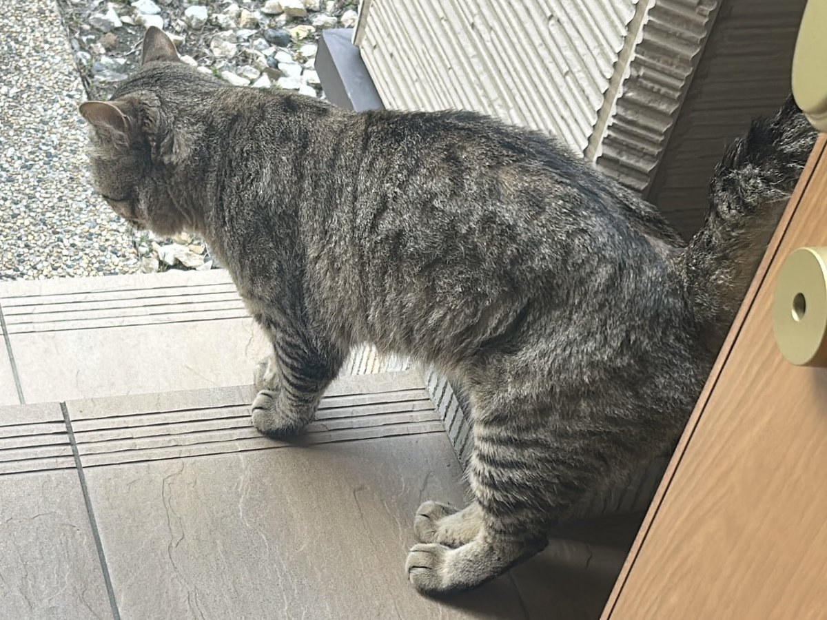 もんきち tweet media