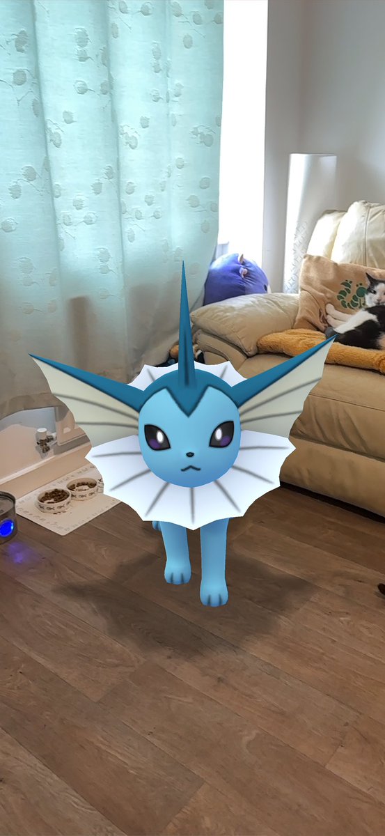 Jessy Sheldrake tweet media