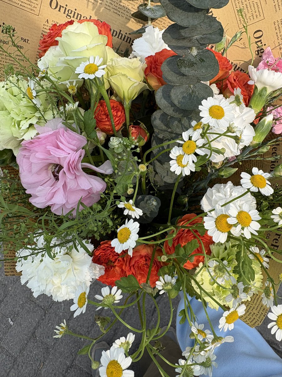 iseejellyfish tweet media