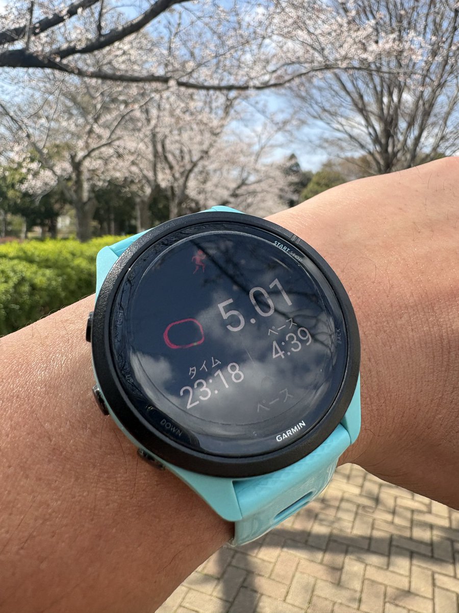 サトル@持久力強化中 tweet media